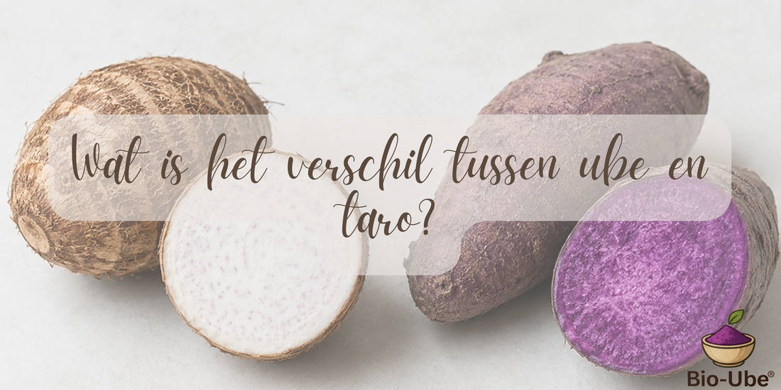 Wat is het verschil tussen ube en taro?
